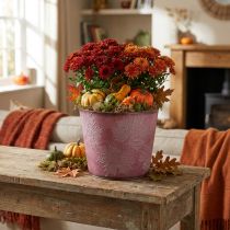 Artículo Maceta de otoño, cubo de plantas, decoración de metal con hojas rojo vino Ø25.5cm H22cm
