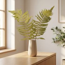 Artículo Helecho seco y preservado. Perfecto para la decoración natural del hogar. 80 cm.