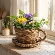 Artículo Vaso para plantar con platillo, pequeña cesta de paja para plantar, Ø17cm H13cm