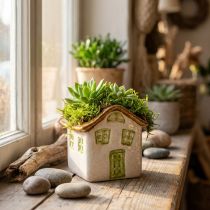 Artículo Casita de cerámica para plantar, estilo rústico para un ambiente acogedor, 11cm