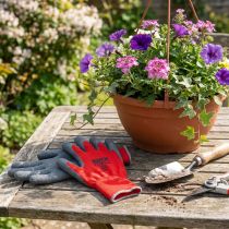 Artículo Kixx guantes de jardín de nailon talla 8 rojo, gris