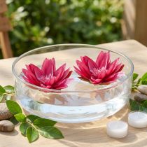 Artículo Nenúfar flotante artificial para mesa, decoración fucsia, Ø15cm, 2 unidades
