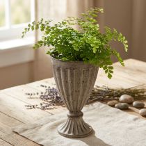 Artículo Macetero trofeo decorativo aspecto antiguo gris marrón Ø13cm H19cm