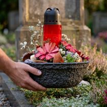 Artículo Cuenco para plantas Biolit negro Oasis Cuenco para flores negro Ø26cm