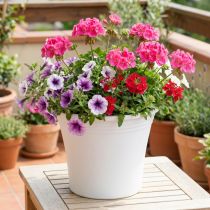 Artículo Maceta de plástico “Irys” blanco Ø22cm H18cm 1 pieza