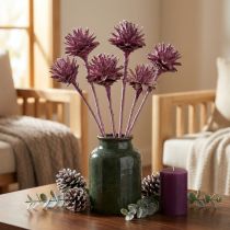 Artículo Leucospermum 1 mora helada 25 uds.
