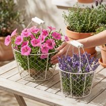 Artículo Cestas de alambre decorativas como solución decorativa para un diseño de jardín creativo, 30 cm, 1 juego