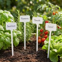 Artículo Etiqueta de planta para cambiar 40cm 10uds.