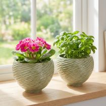 Artículo Macetero decorativo cuenco de cerámica en color verde Ø15cm H11cm 2uds