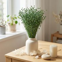 Artículo Hierba de lino seca, verde, 50-55 cm, decoración DIY