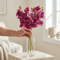 Artículo Orquídeas artificiales flores artificiales moradas como reales 56cm 3 piezas