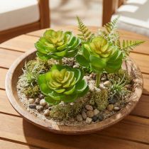 Artículo Suculentas artificiales Echeveria verde Ø7cm 6 uds