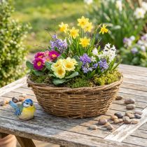 Artículo Bol de flores naturales, bol decorativo con diseño de enredadera, 31 cm, rústico, maceta.