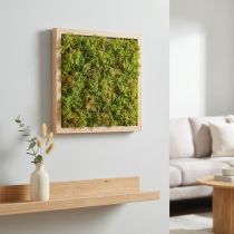 Artículo Alfombra de musgo artificial: perfecta para cuadros de musgo verde claro 25×25 cm