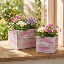 Artículo Cajón para plantas con tirador madera blanca rosa 12/15cm juego de 2