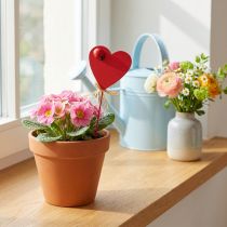 Artículo Plug corazón madera corazones decorativos rojos con mariquitas 6cm 16uds