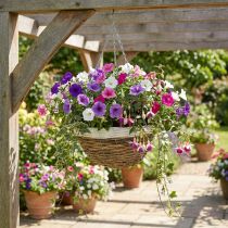 Artículo Cuenco para plantas, cesta colgante, cesta colgante natural, blanco Ø35cm