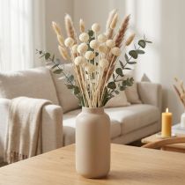 Artículo Craspedia muslos secos crema 45-55cm 20uds