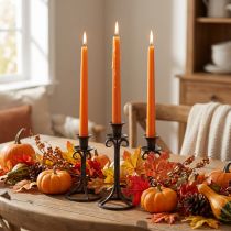 Artículo Velas cónicas, velas de palo, velas Wenzel, naranja, 250/23 mm, 12 piezas