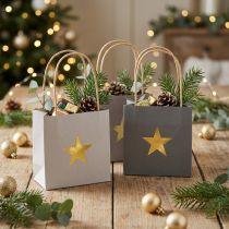 Artículo Bolsas de papel con estrella y asa gris surtidas 12×12×12cm 9uds
