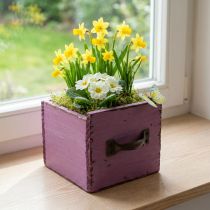 Artículo Cajón para plantas caja decorativa de madera para plantas púrpura 12,5 cm