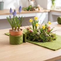 Artículo Cinta de fieltro cinta de lana verde verde musgo A7/15cm L1m/1m juego de 2