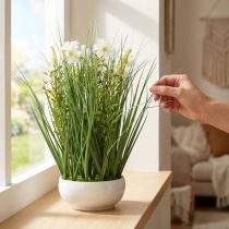 Artículo Hierba decorativa con flores de Cosmea en un cuenco H45cm