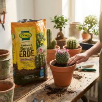 Artículo Tierra FRUX para cactus y bonsáis 5L