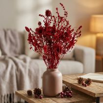 Artículo Ramo de flores secas, rojo vino, cardo decorativo, 40 cm, 80 g