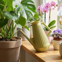 Artículo Regadera de interior, verde oliva, estilo retro, 24,5 cm, 1,8 L, regadera de diseño, plástico, riego de plantas