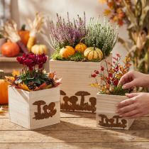 Artículo Cubos de plantas, caja de flores, decoración de otoño con pátina 20/16/12cm juego de 3