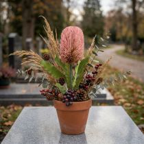 Artículo Flor artificial Banksia rosa otoño decoración floristería conmemorativa 64cm