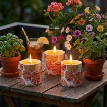 Artículo Velas con citronela en maceta de cerámica 9h A7cm 3pzs