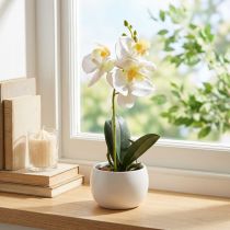 Artículo Orquídeas artificiales en maceta mini orquídeas blancas Ø7cm H22cm