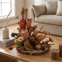 Artículo Conos de protea exótica seca Bellgum 24–48 cm 580 g - Decoración de flores artificiales Sudáfrica