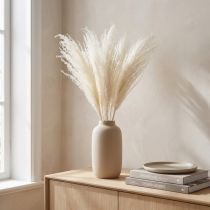 Artículo Flores secas, hierba plateada. Elegante decoración natural para el hogar y la oficina. 70 cm, 10 unidades.
