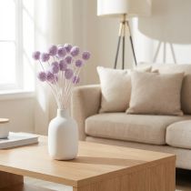 Artículo Flores secas de Craspedia para decoración moderna de mesas en tu hogar, 55 cm, 20 unidades.