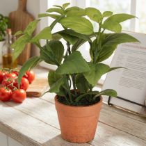 Artículo Albahaca artificial en maceta Planta artificial para hierbas 22 cm 2 piezas