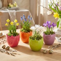 Artículo Mini macetas con forma de huevo de Pascua, jarrones de colores pastel, 8,5 cm, 4 unidades