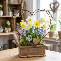 Artículo Jardinera decorativa con forma de corazón de madera color óxido Al 41 cm/39 cm, juego de 2