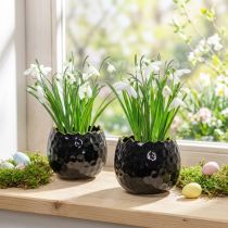 Artículo Maceta de cerámica con forma de huevo, color negro, Ø10cm, H8cm, 2 piezas