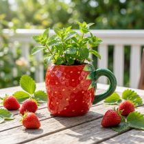 Artículo Vaso ceramica fresa para plantar 10cm Ø6,5cm