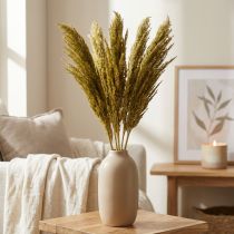 Artículo Hierba seca, verde oliva, decorativa, 70 cm, 10 piezas, sustituto de la hierba de la pampa
