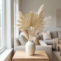 Artículo Palmspear Sun Hoja de palma natural seca Decoración natural 30 piezas