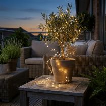 Artículo Cadena de luces LED con alambre temporizador de luces de hadas para exteriores 180 cm