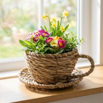 Artículo Cesta de té para decoración natural del hogar y ambiente encantador 15cm