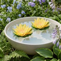 Artículo Nenúfar flotante artificial decoración de verano amarillo Ø15cm 2 piezas
