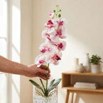 Artículo Orquídea Phalaenopsis artificial 9 flores blanco fucsia 96cm