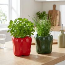 Artículo Maceta de cerámica de pimentón para decoración de cocina moderna, adecuada para cualquier estilo interior, 13 cm, 2 piezas