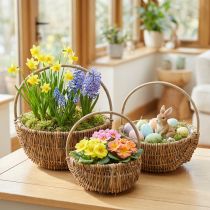 Artículo Juego de 3 cestas de mimbre, colores naturales con asas, cestas para plantas de estilo vintage de Ø32/28/22 cm, cesta decorativa, cesta de regalo, cesta de Pascua.